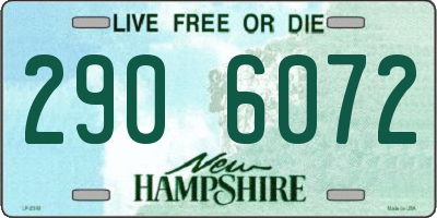 NH license plate 2906072