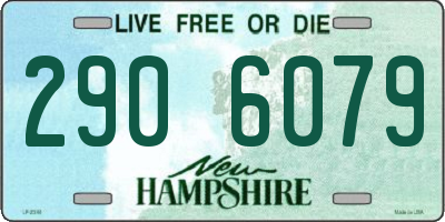 NH license plate 2906079