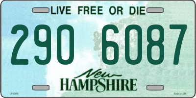 NH license plate 2906087