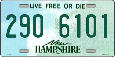 NH license plate 2906101