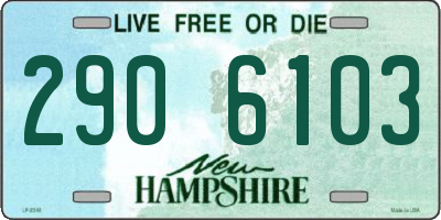 NH license plate 2906103