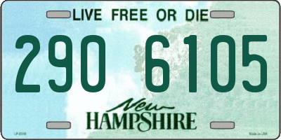 NH license plate 2906105