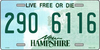 NH license plate 2906116