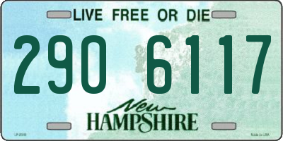 NH license plate 2906117