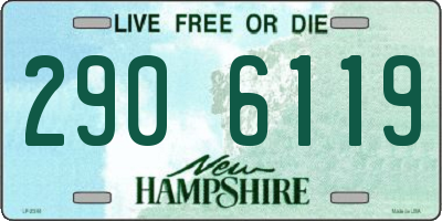 NH license plate 2906119