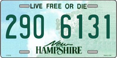 NH license plate 2906131