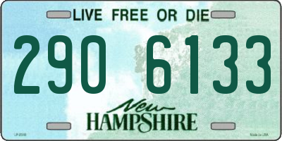 NH license plate 2906133
