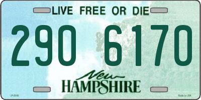 NH license plate 2906170