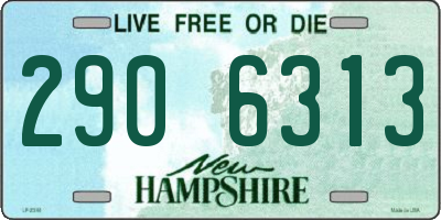 NH license plate 2906313