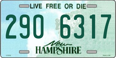 NH license plate 2906317