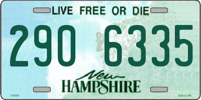 NH license plate 2906335