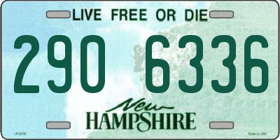 NH license plate 2906336