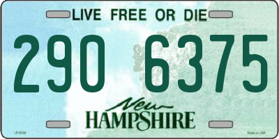 NH license plate 2906375