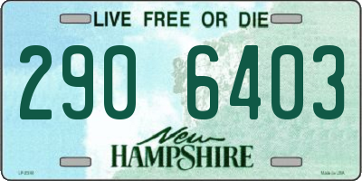 NH license plate 2906403