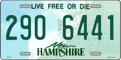 NH license plate 2906441