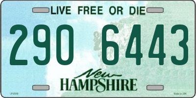 NH license plate 2906443