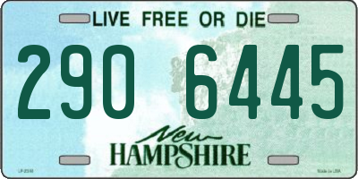 NH license plate 2906445