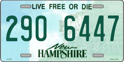 NH license plate 2906447