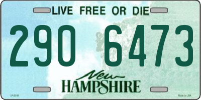 NH license plate 2906473
