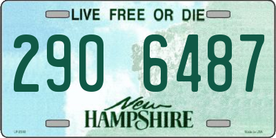 NH license plate 2906487