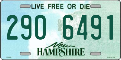 NH license plate 2906491