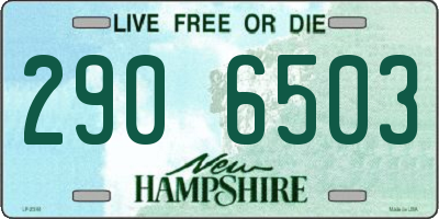 NH license plate 2906503