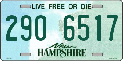 NH license plate 2906517