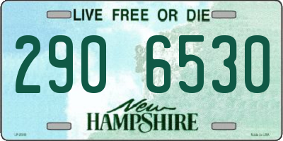 NH license plate 2906530