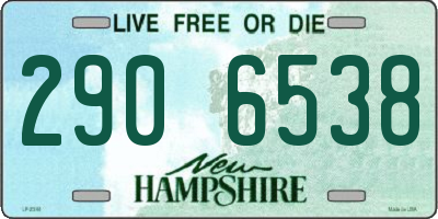 NH license plate 2906538