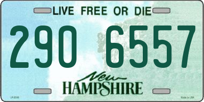 NH license plate 2906557