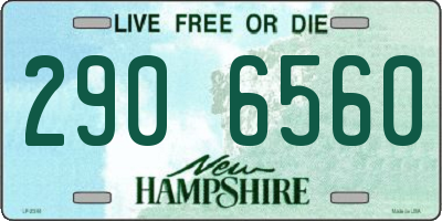 NH license plate 2906560