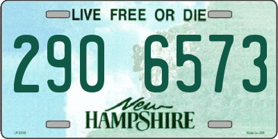 NH license plate 2906573