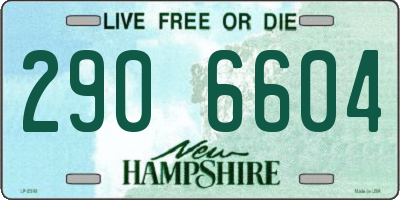 NH license plate 2906604