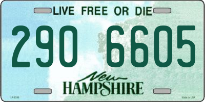 NH license plate 2906605