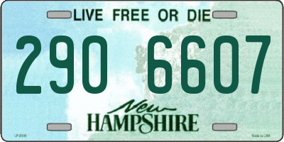 NH license plate 2906607