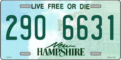 NH license plate 2906631