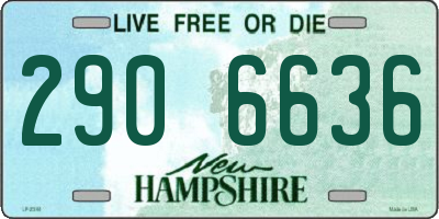 NH license plate 2906636