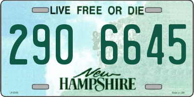 NH license plate 2906645