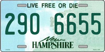 NH license plate 2906655