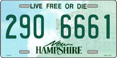 NH license plate 2906661