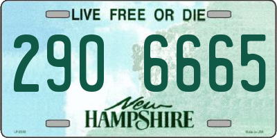 NH license plate 2906665