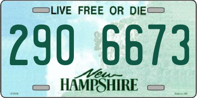 NH license plate 2906673