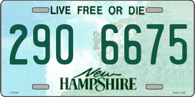 NH license plate 2906675