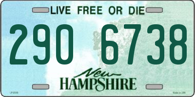 NH license plate 2906738