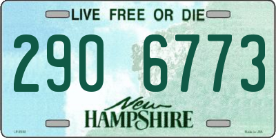 NH license plate 2906773