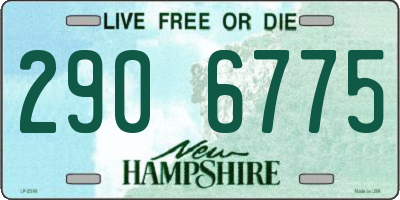 NH license plate 2906775