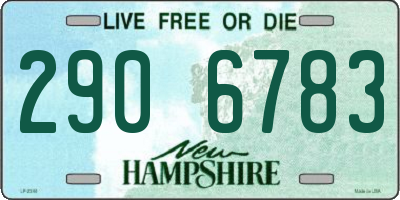 NH license plate 2906783