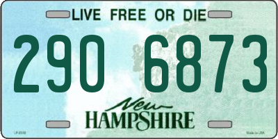 NH license plate 2906873