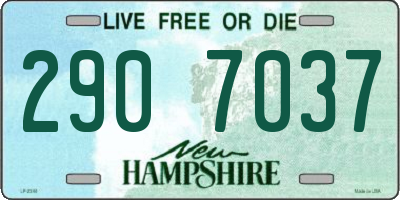 NH license plate 2907037