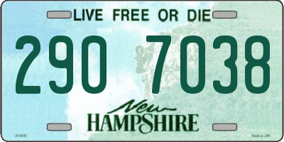 NH license plate 2907038